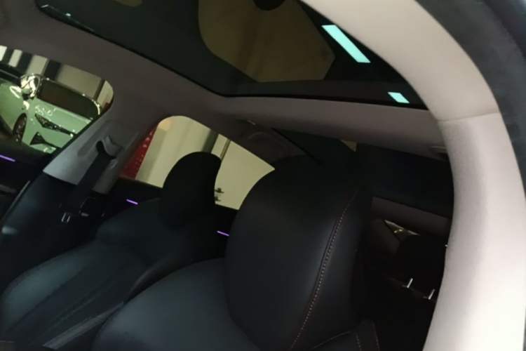 Used XPeng P7 2022 480E Headliner