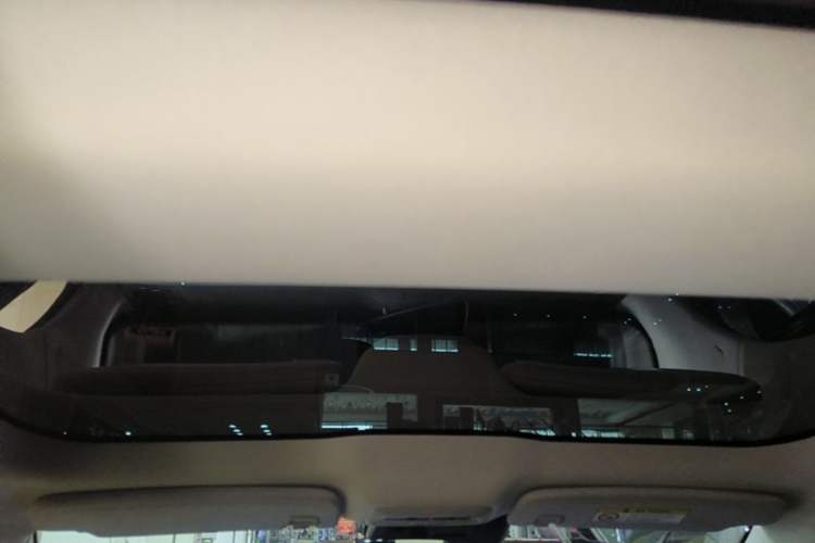 Used XPeng P7 2022 670N+ Headliner