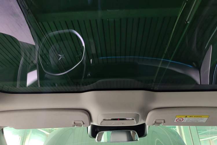 Used XPeng P7 2022 625E Headliner