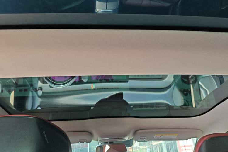 Used XPeng P7 2022 670N+ Headliner