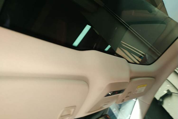 Used XPeng P7 2022 480 Standard Range Smart Drive Edition Headliner