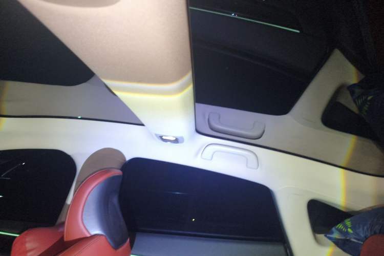 Used XPeng P7 2022 586G Headliner
