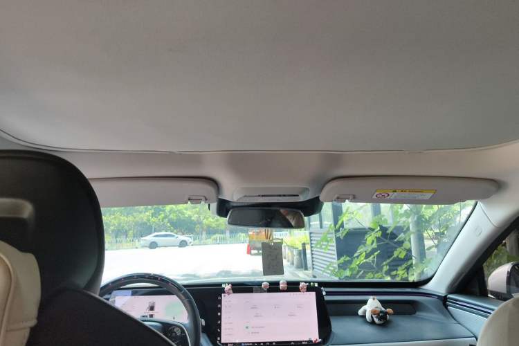 Used XPeng P7 2022 625E Headliner