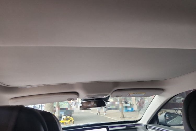 Used XPeng P7 2022 586G Headliner