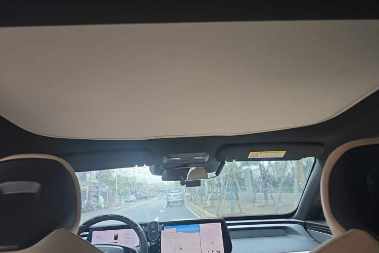 Used XPeng P7 2022 480E Headliner