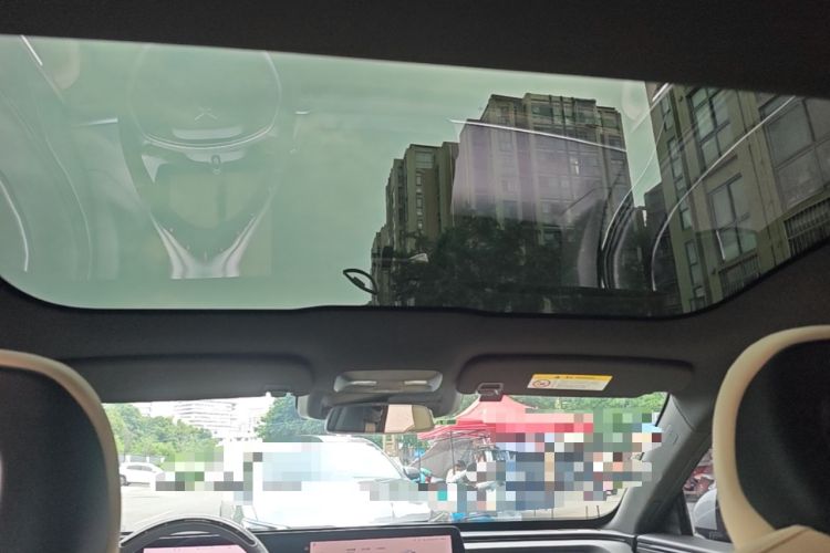 Used XPeng P7 2022 480E Headliner