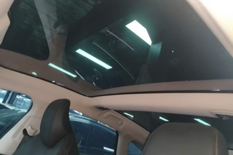 Used XPeng P7 2022 586G Headliner
