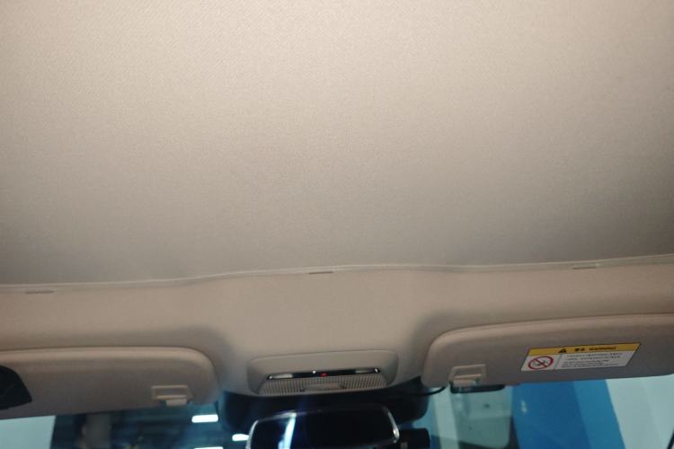 Used XPeng P7 2022 480E Headliner