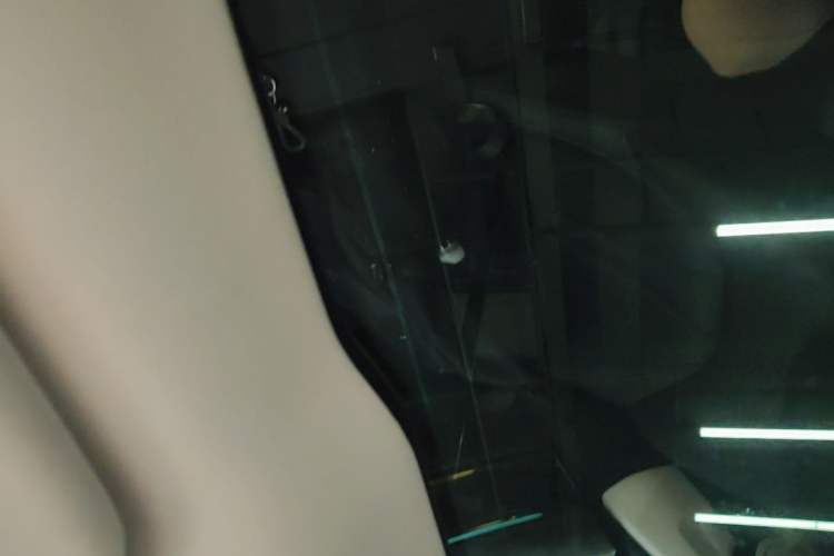 Used XPeng P7 2022 480N+ Headliner