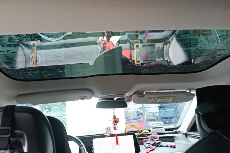 Used XPeng P7 2022 586G Headliner