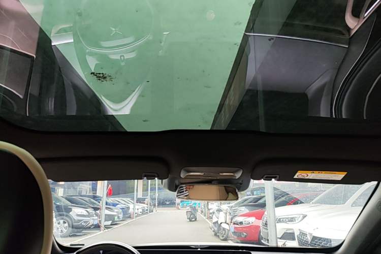 Used XPeng P7 2022 480E Headliner