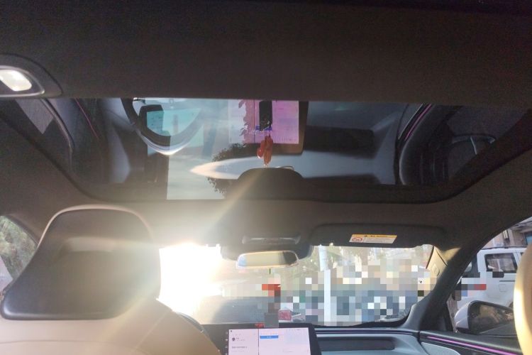 Used XPeng P7 2022 480E Headliner