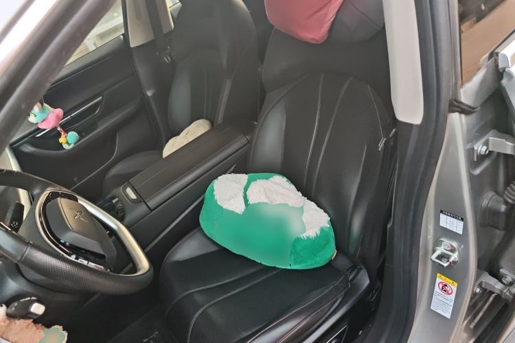 Used XPeng P7 2022 480E Left Front Seat