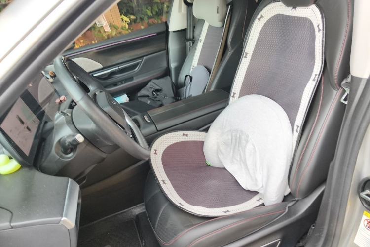 Used XPeng P7 2022 625E Left Front Seat