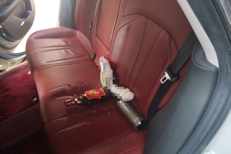 Used XPeng P7 2022 670E+ Left Rear Seat