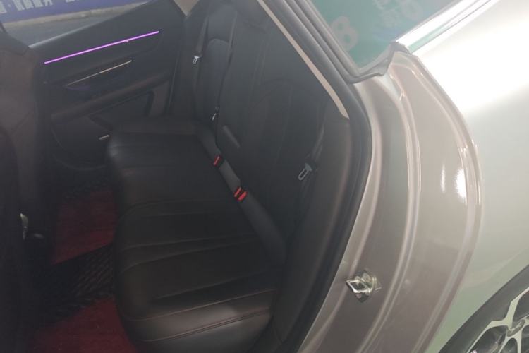 Used XPeng P7 2022 480E Left Rear Seat