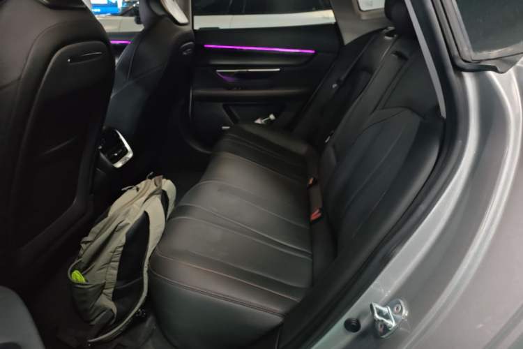 Used XPeng P7 2022 480E Left Rear Seat