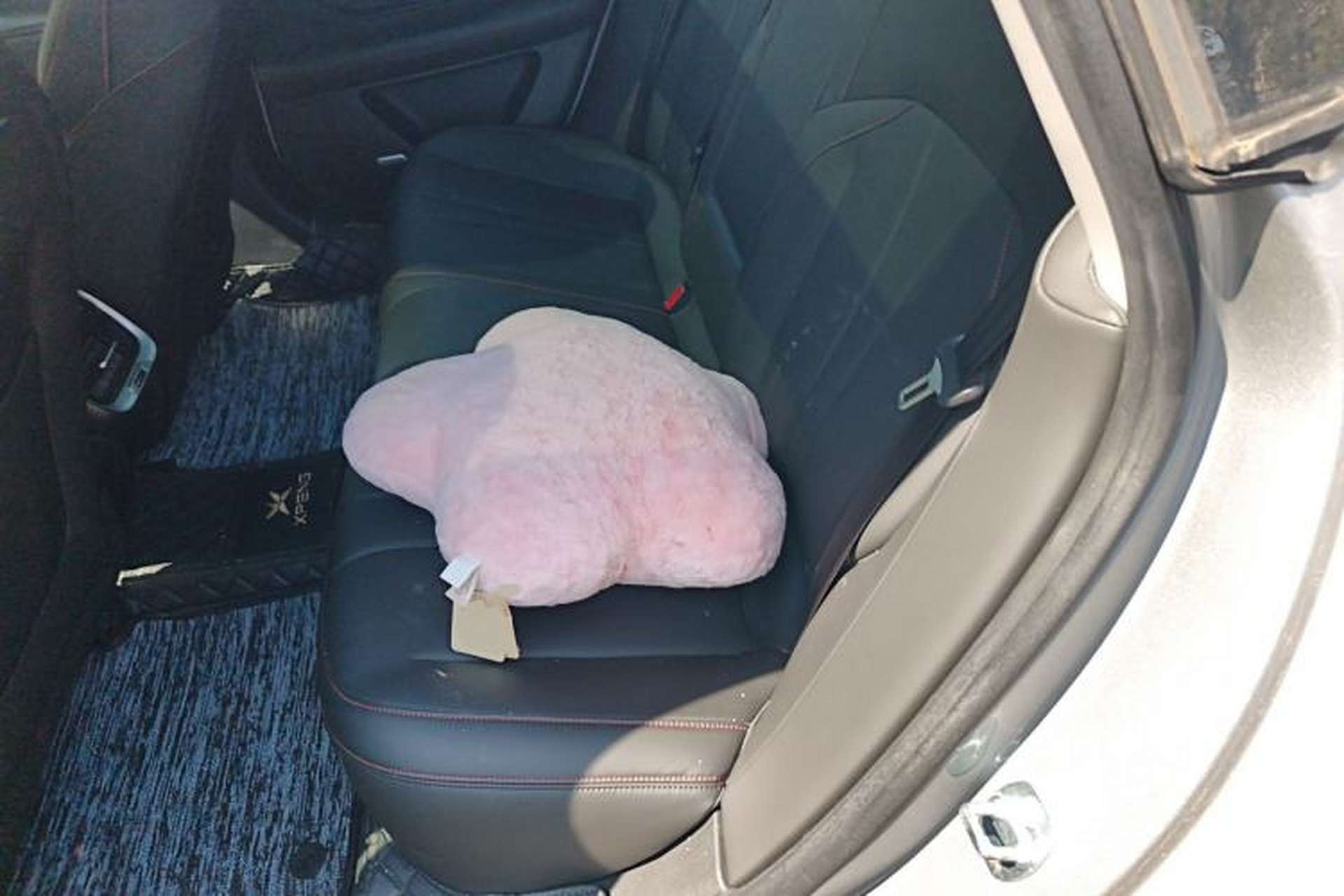 Used XPeng P7 2022 480E Left Rear Seat