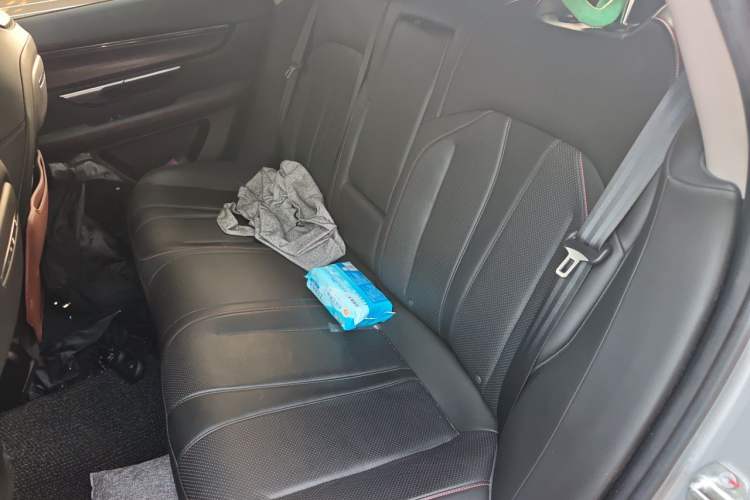 Used XPeng P7 2022 480E Left Rear Seat