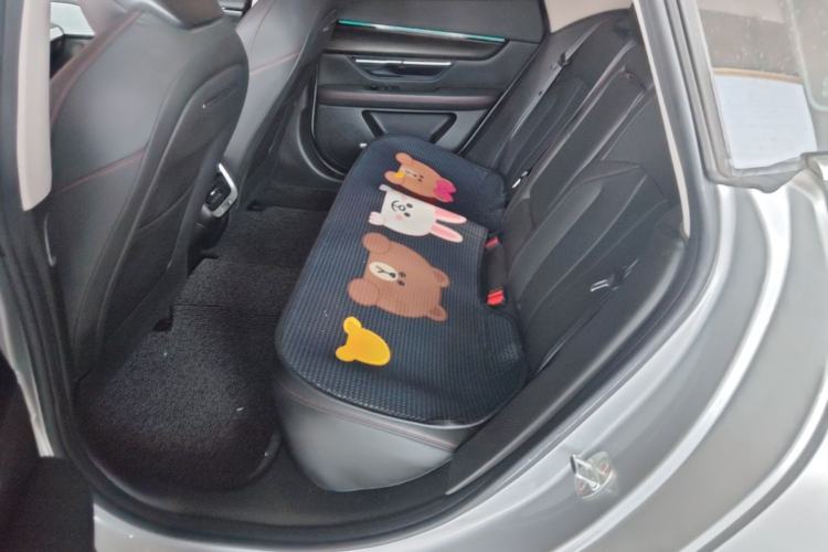 Used XPeng P7 2022 480N+ Left Rear Seat