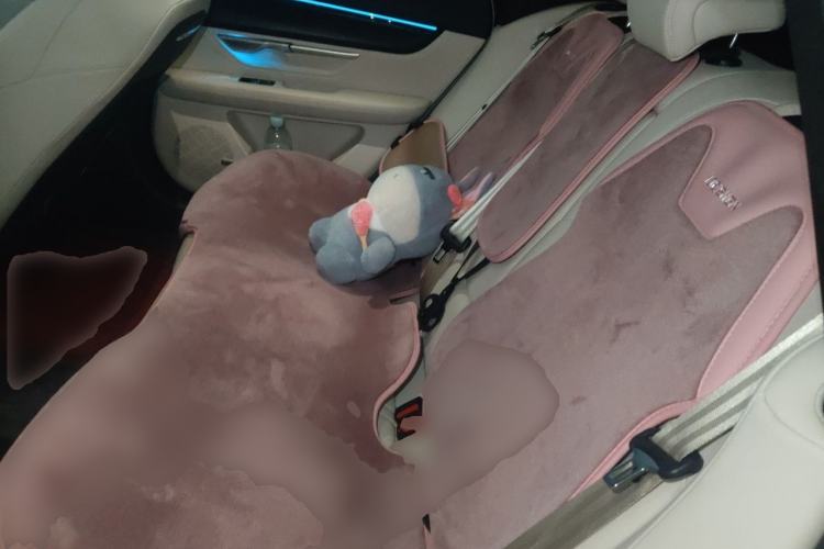 Used XPeng P7 2022 625E Left Rear Seat