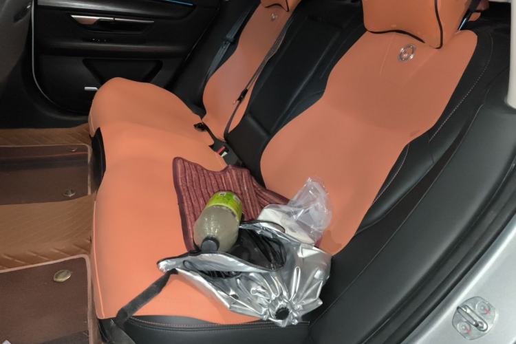Used XPeng P7 2022 480E Left Rear Seat