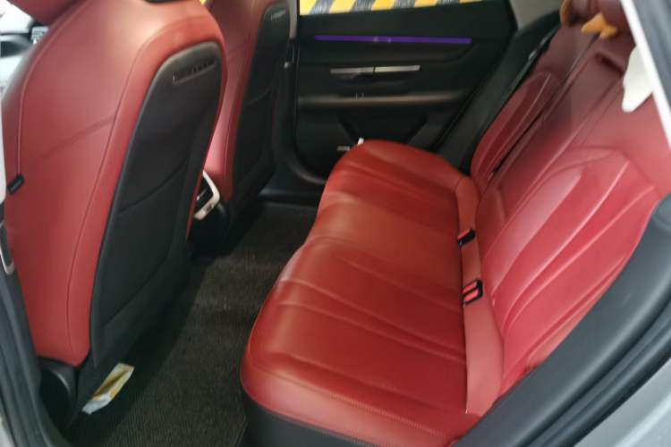 Used XPeng P7 2022 480E Left Rear Seat