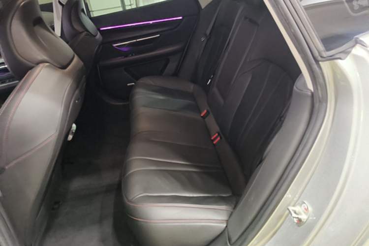 Used XPeng P7 2022 670N+ Left Rear Seat