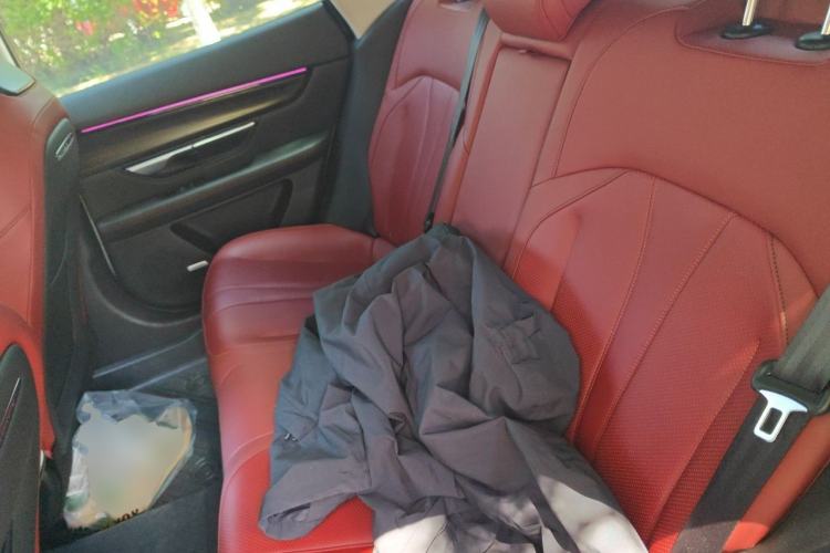 Used XPeng P7 2022 625E Left Rear Seat