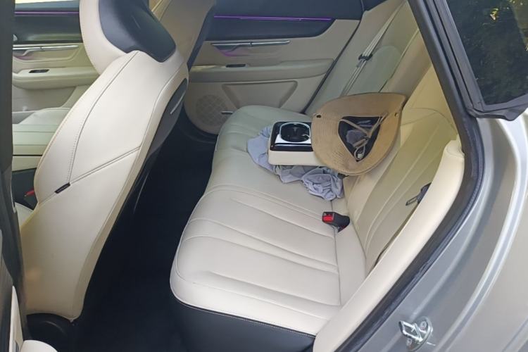 Used XPeng P7 2022 480E Left Rear Seat