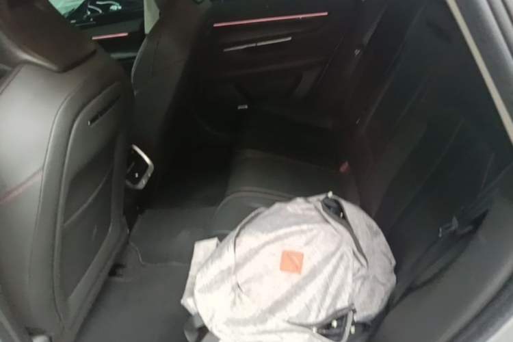 Used XPeng P7 2022 586G Left Rear Seat