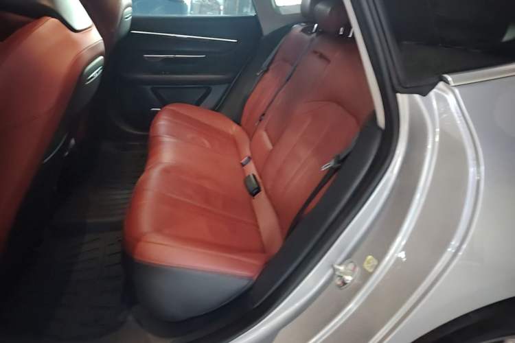 Used XPeng P7 2022 670N+ Left Rear Seat