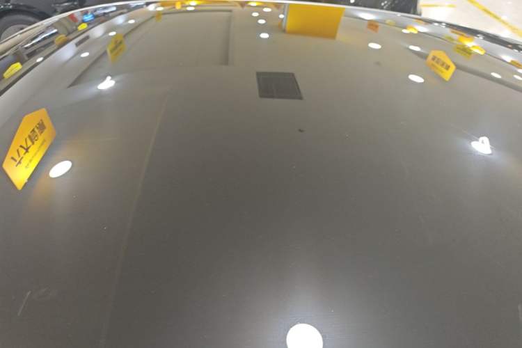 Used XPeng P7 2022 670N+ Roof