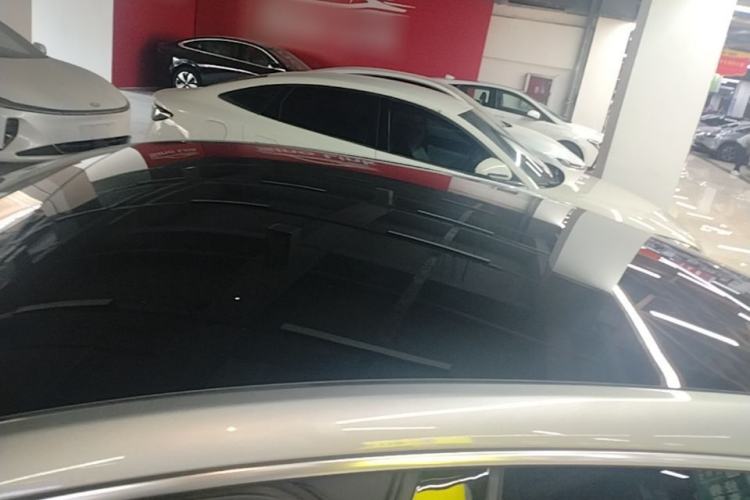 Used XPeng P7 2022 625E Roof