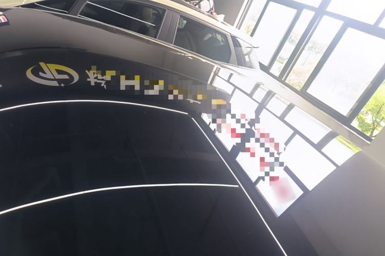 Used XPeng P7 2022 625E Roof