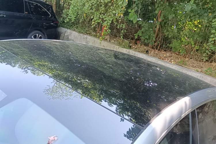 Used XPeng P7 2022 480E Roof