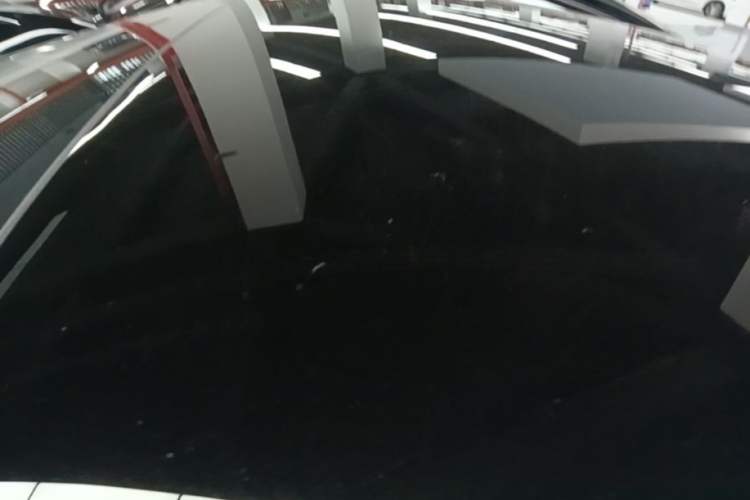Used XPeng P7 2022 586G Roof