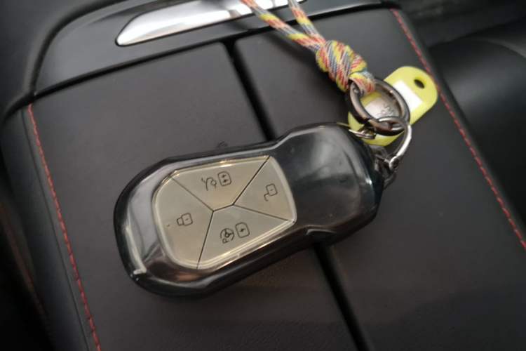 Used XPeng P7 2022 625E Vehicle Key