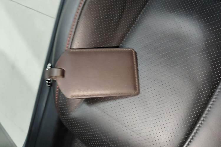 Used XPeng P7 2022 670E+ Vehicle Key