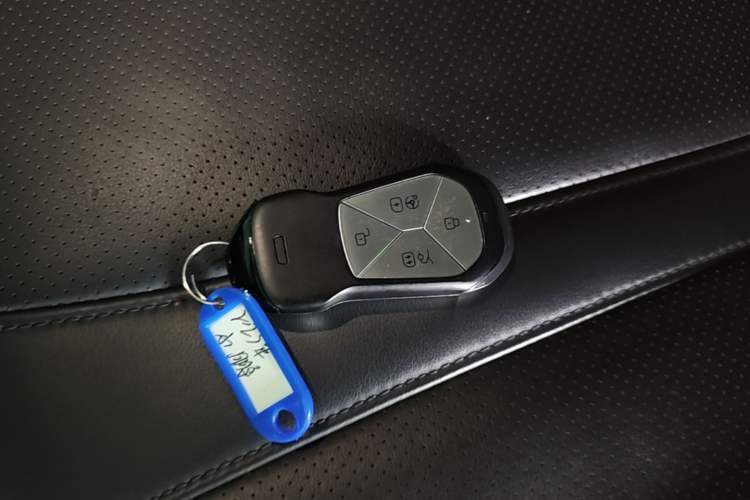 Used XPeng P7 2022 625E Vehicle Key