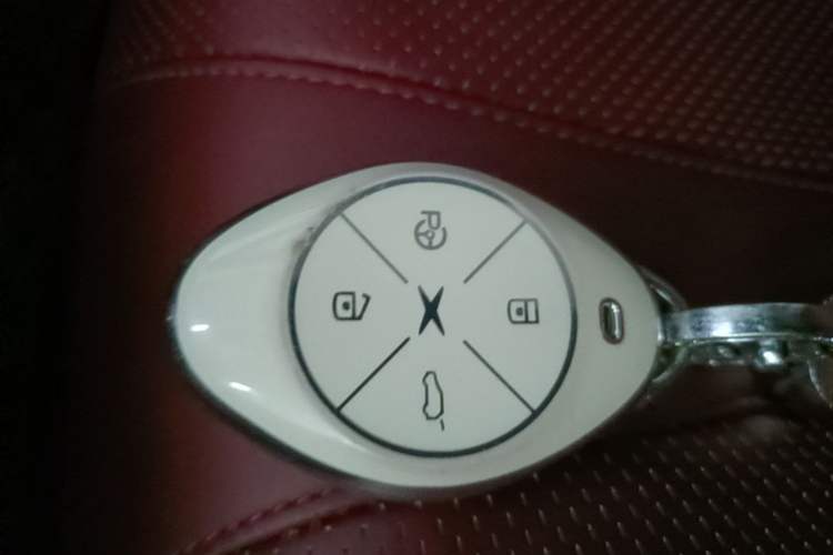 Used XPeng P7 2022 670N+ Vehicle Key