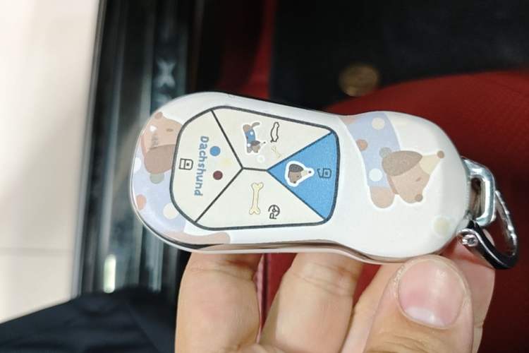 Used XPeng P7 2022 670N+ Vehicle Key