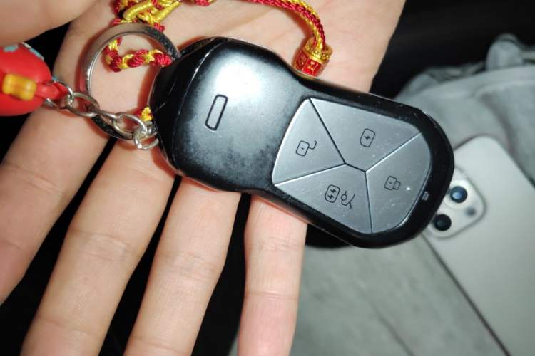 Used XPeng P7 2022 586G Vehicle Key