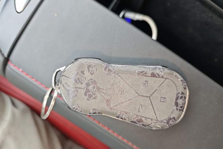 Used XPeng P7 2022 480E Vehicle Key