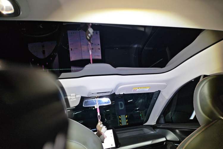 Used XPeng P7 2022 480E Headliner