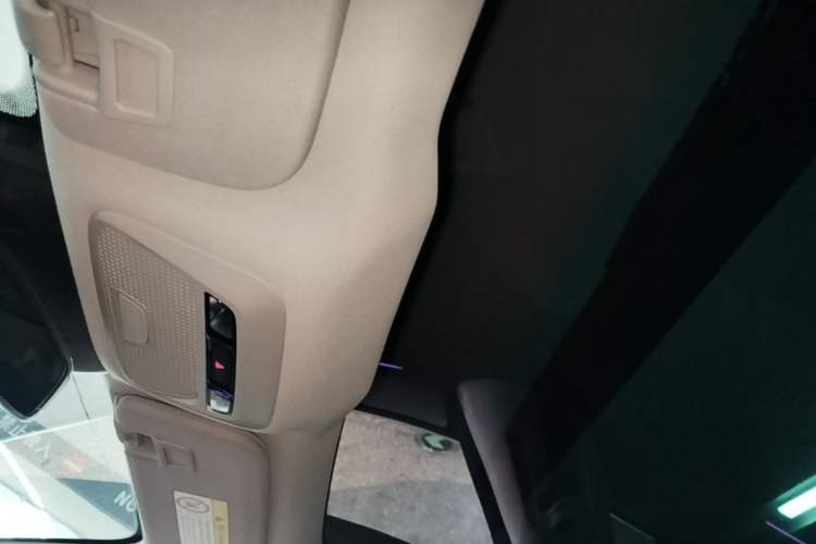 Used XPeng P7 2022 670N+ Headliner