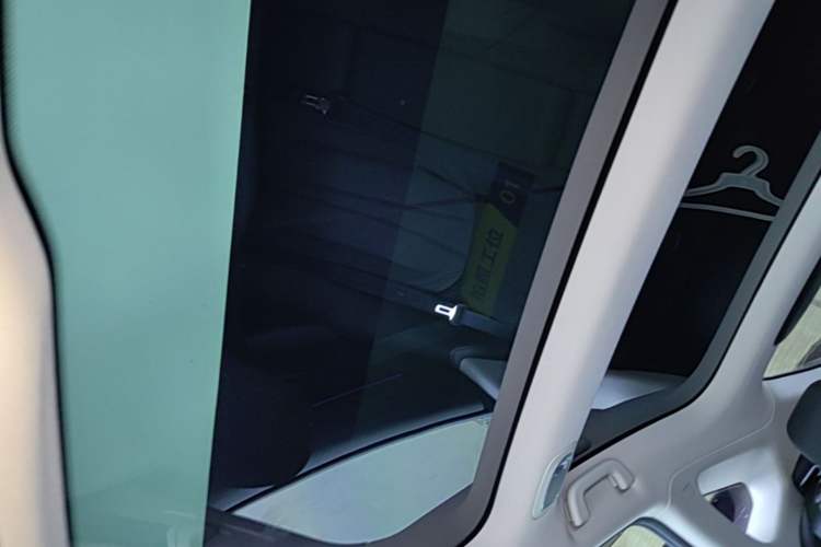 Used XPeng P7 2022 480E Headliner