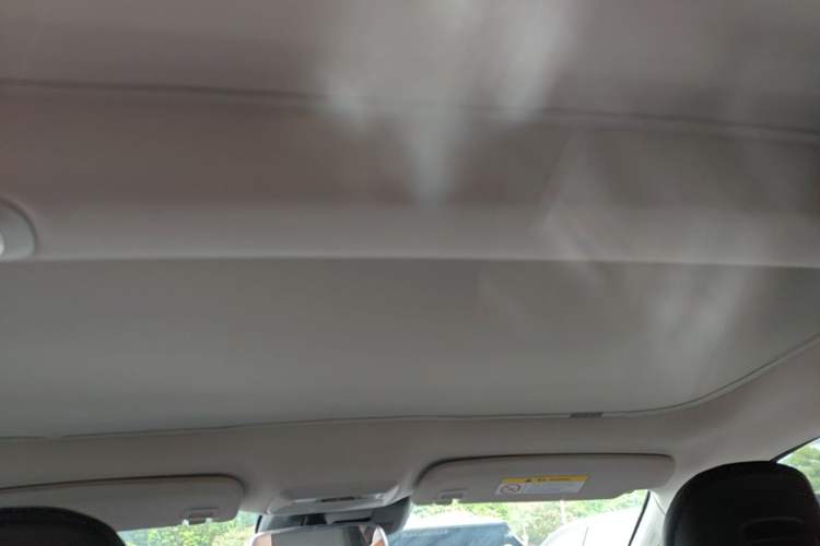 Used XPeng P7 2022 480N+ Headliner