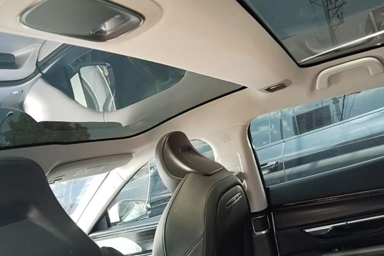 Used XPeng P7 2022 625E Headliner