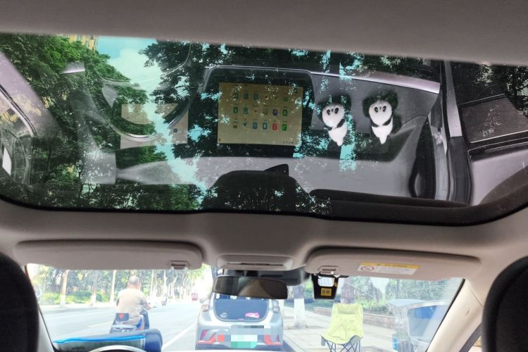 Used XPeng P7 2022 480N+ Headliner